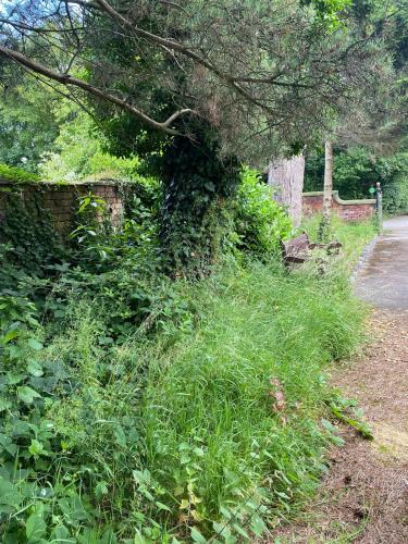 Croston Cemetery BEFORE volunteers did a Tidy Up 