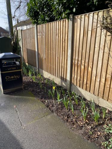 Daffodils Kindly Planted by Parishioners at Dandy Croft and the Train Station.   