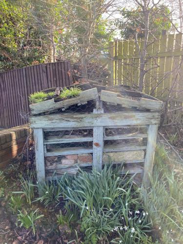 Project Renovation 2024: Bug Hotel gets a New Home !